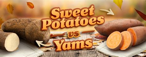 Sweet Potato vs Yam: Are They The Same Thing?