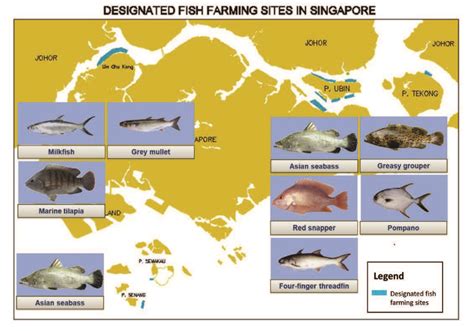 World Aquaculture Society | The Singapore Aquaculture Industry ...