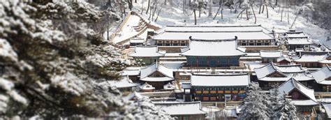 Daegu Half-Day Tour: UNESCO World Heritage Site - Tripitaka Koreana ...