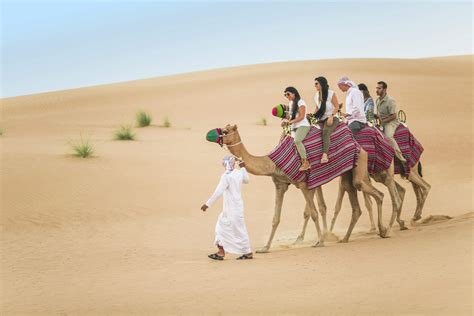 Dubai Desert Camel Safari 2021 | Book TicketsToDo Online