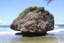 Bathsheba Rocks Free Stock Photo - Public Domain Pictures