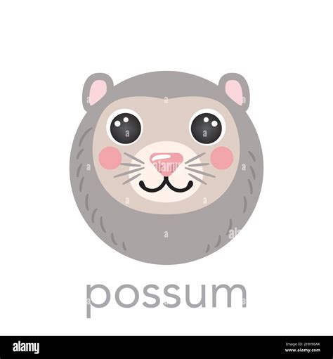 Baby possum Stock Vector Images - Alamy