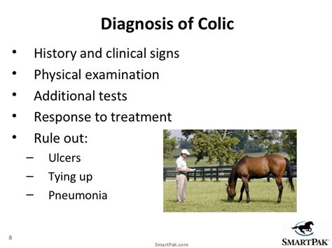 Colic Prevention: Proven tips to help reduce your horse's risk