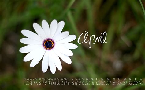 🔥 [50+] April Flowers Desktop Wallpapers | WallpaperSafari