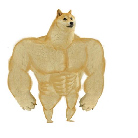 Doge Meme Template Collection - Meme Templates Download