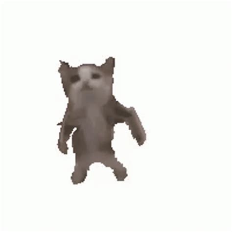 Cat Dancing GIF - Cat Dancing Gangnam Style - Discover & Share GIFs