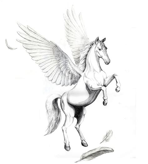 Pegasus Imagery Collections | Pegasus tattoo, Horse tattoo design ...