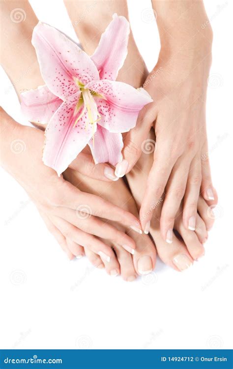 Foot care stock photo. Image of skin, therapy, adult - 14924712