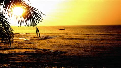 Sunset on the beach in Goa wallpapers and images - wallpapers, pictures ...