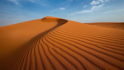 Wallpaper : landscape, desert, dune, Sahara, grassland, habitat ...