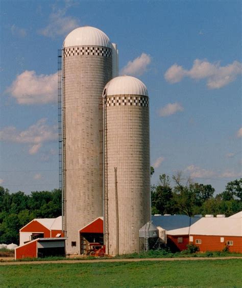 Huge wheat losses for lack of modern silos - Agriculture Corner