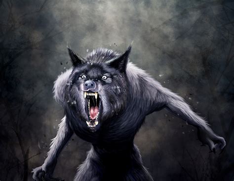 Werewolves, Image search and Too cute on Pinterest