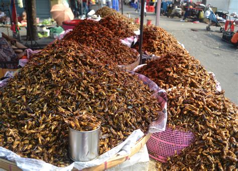 Street Food in Yangon Chinatown on 19th Street (Myanmar)