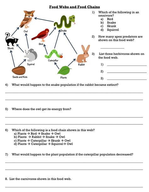 Food Chain Worksheet Pdf – Zip Worksheet