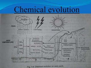 chemical evolution and biological origin of life | PPT