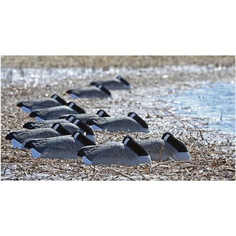 Dakota Decoy Canada Goose Sleeper Shell Decoys, 12-Pk. - 670645, Goose ...