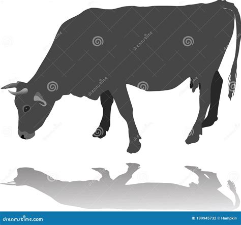 Cow Eating Grass Silhouette Stock Vector - Illustration of farm, cattle ...