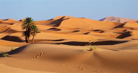 Download Sand Dune Sand Morocco Nature Desert 4k Ultra HD Wallpaper