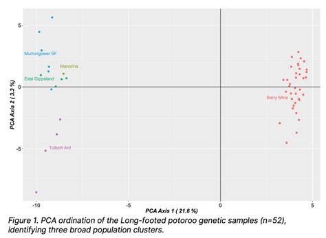 Genetic analysis of long-footed potoroo populations to support fire ...