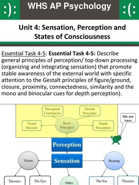 9174749 | PDF | Perception | Senses