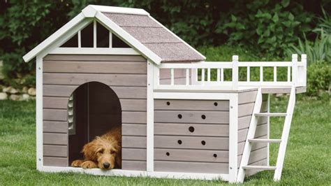 15 Best Fancy Dog Houses - Cool Luxury Dog Houses To Buy