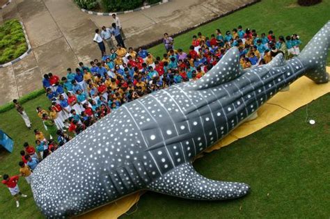 8 Ikan Terbesar di Laut, Nomor 1 Beratnya Sama dengan Bis