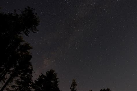 Free picture: forest sky, night stars, stars, night, trees, sky, milky way