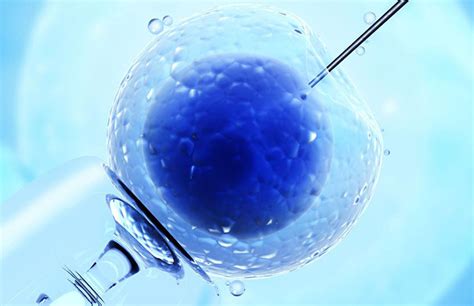 Embryo Cryopreservation | Australian Concept Infertility Center