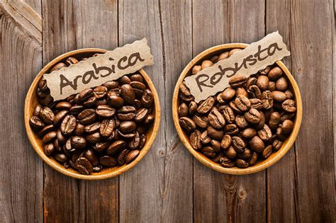 Mengenali Perbedaan Kopi Arabika dan Robusta - Desanesia.id