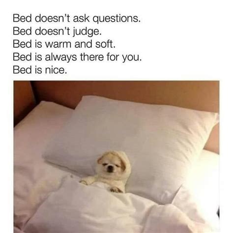 Top Funniest Sleep Memes: Take Your Portion of Good Laugh | Sleep funny ...