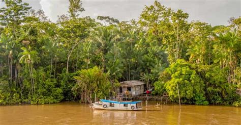 Manaus: 2, 3 or 4-Day Amazon Jungle Tour in Anaconda Lodge | GetYourGuide