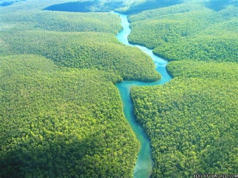 Amazon Rainforest Facts, Amazon Rain Forest Map & Information Travel Guide