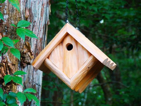 Bird In Everything: House Wren Birdhouse