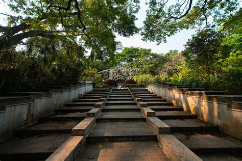 View of Kowloon park with sculpture walk … – License image – 71402985 ...