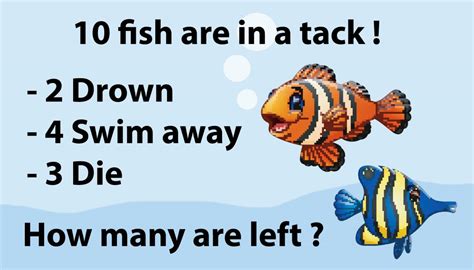 Fish Math Riddle Is Driving People Crazy: Can You Solve It in Under 60 ...