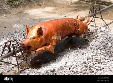 Roasting of pig Stock Photo - Alamy