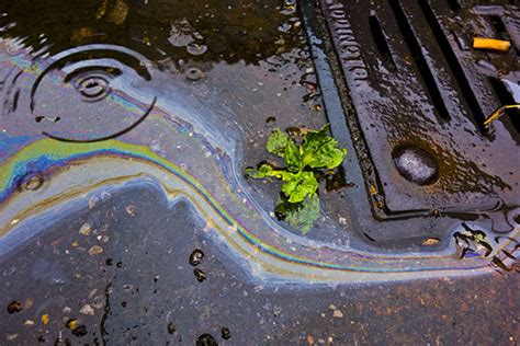 Polluted Stormwater Runoff - Housatonic Valley Association