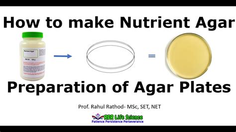 Preparation of nutrient agar plates l How to make agar plate - YouTube