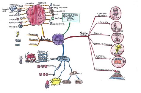 Para Que Sirve Un Mapa Mental - Image to u