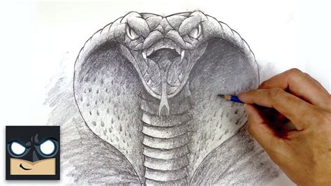 How To Draw A Cobra | YouTube Studio Sketch Tutorial - YouTube