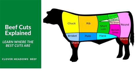 Understanding Beef Cuts - YouTube