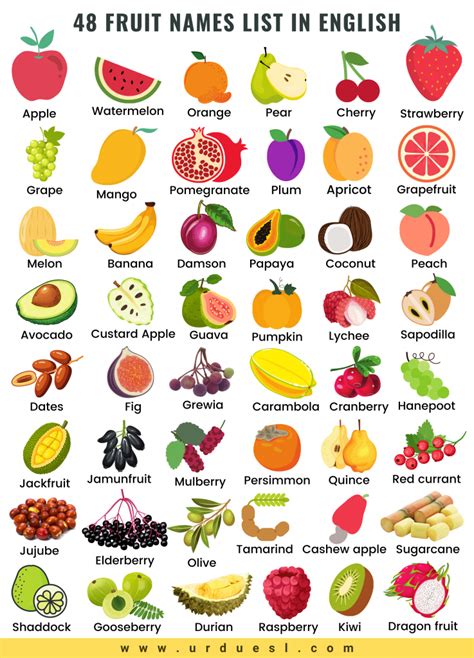 All Fruit Names in English and Urdu With Pictures - Download pdf ...