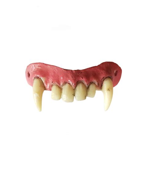 Werewolf fangs | Wolf teeth from dental acrylic | horror-shop.com