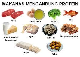 Makanan Yang Mengandung Protein Untuk Diet - Homecare24