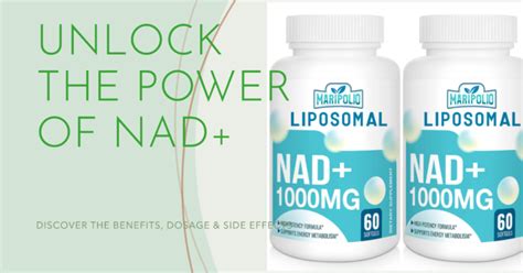 Liposomal NAD+ 1000 MG: Benefits, Dosage & Side Effects - TheHealthySnob