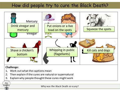 Black Death | Teaching Resources