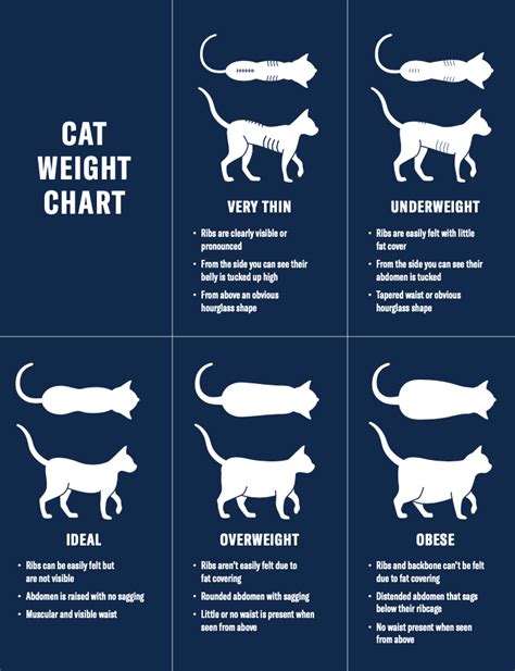 Domestic Cat Weight Chart