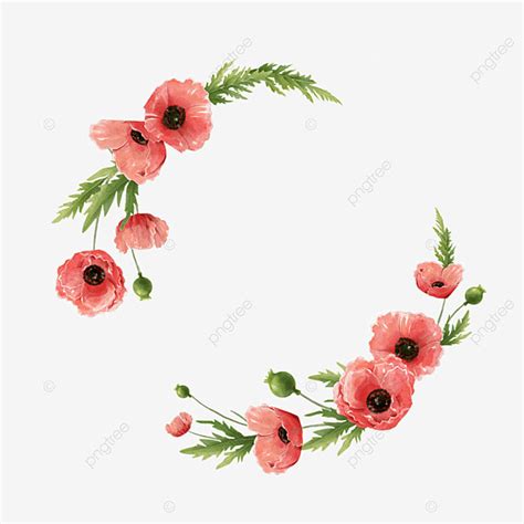 Watercolor Poppies PNG Transparent, Watercolor Poppy Decorative Floral ...