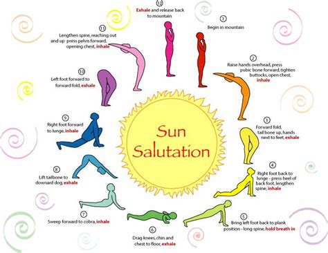 The Yoga Lotus: Sun Salutation