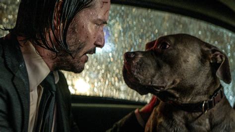 'John Wick 3': How the Keanu Reeves franchise turned into a dog movie